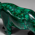 Genuine Polished Malachite Rhino Carving (196.6 grams)