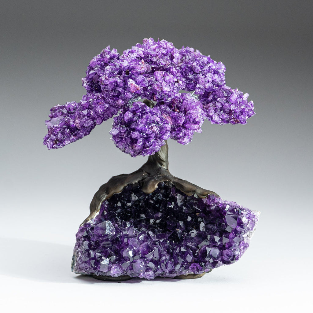 Genuine Amethyst Clustered Gemstone Tree on Amethyst Matrix - The Protection Tree (7 inches)