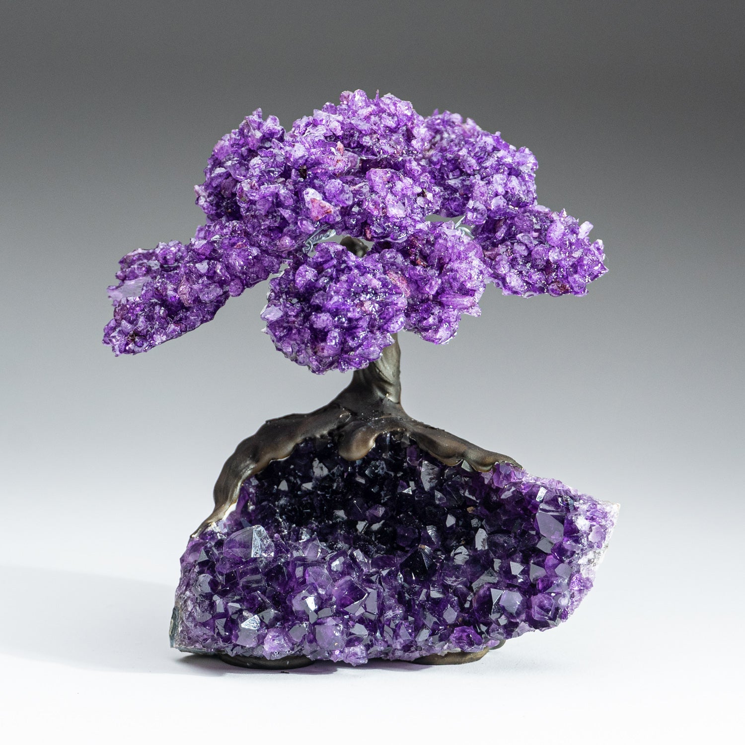 Genuine Amethyst Clustered Gemstone Tree on Amethyst Matrix - The Protection Tree (7 inches)