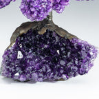 Genuine Amethyst Clustered Gemstone Tree on Amethyst Matrix - The Protection Tree (7 inches)