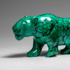 Genuine Polished Malachite Panther Carving (242.2 grams)