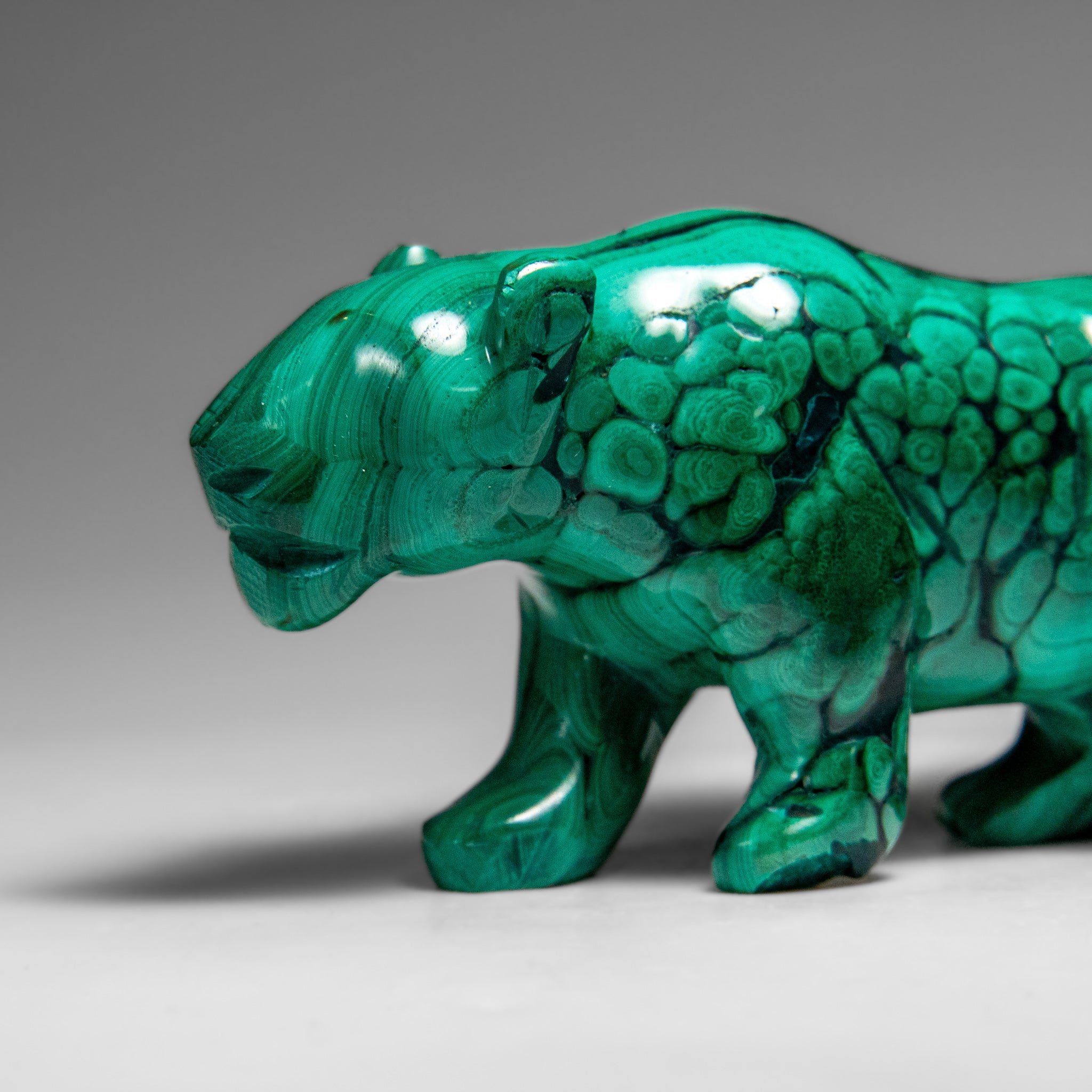 Genuine Polished Malachite Panther Carving (242.2 grams)