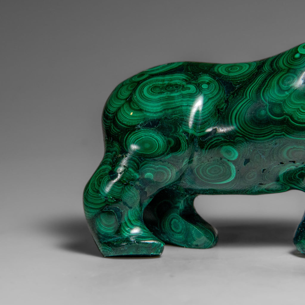 Genuine Polished Malachite Rhino Carving (333.2 grams)