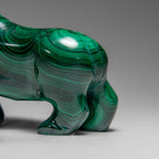 Genuine Polished Malachite Rhino Carving (333.2 grams)