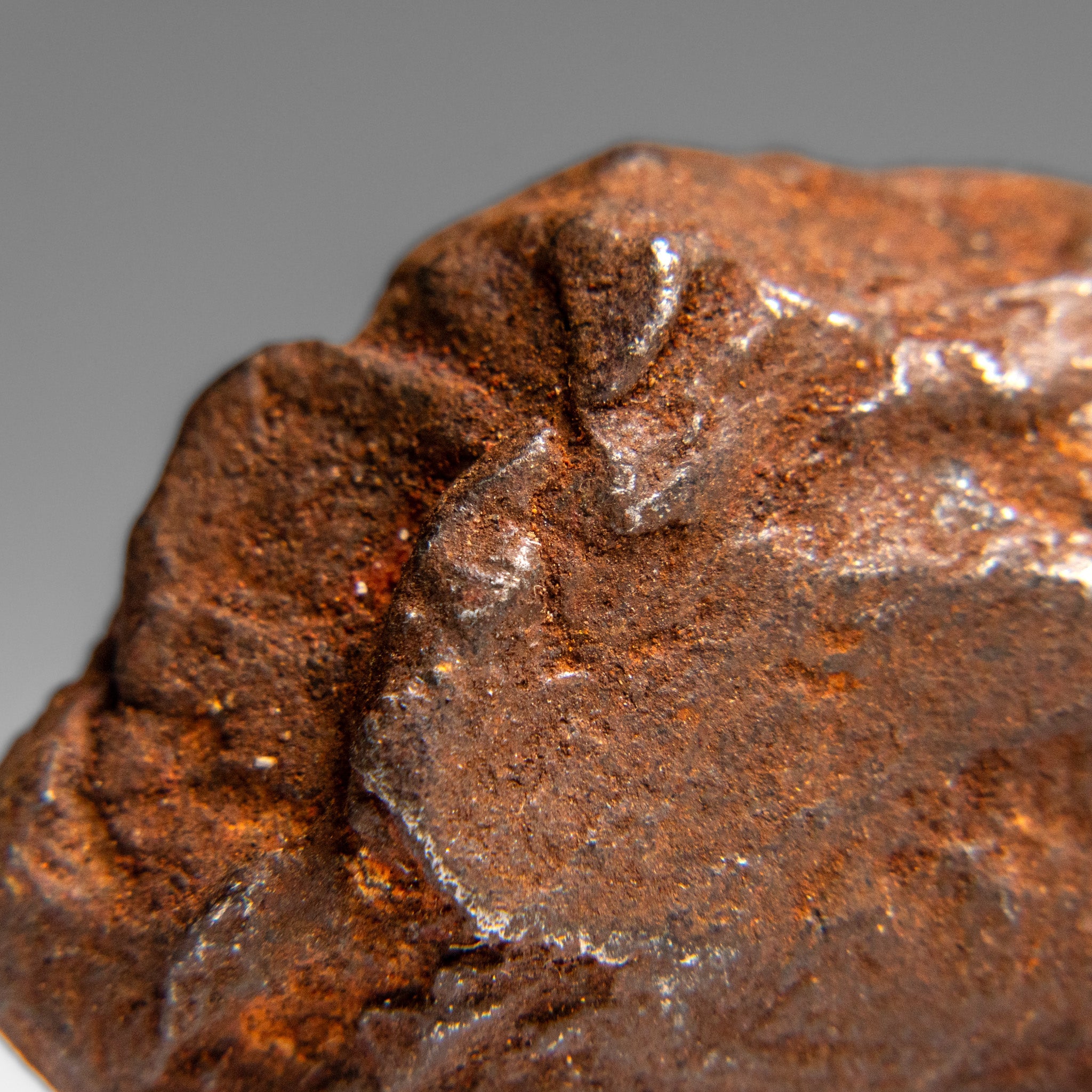 Genuine Gebel Kamil Meteorite from Egypt (65 grams)