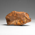Genuine Gebel Kamil Meteorite from Egypt (242 grams)