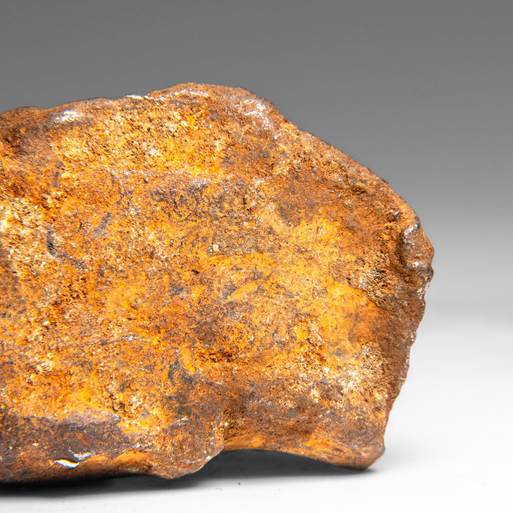 Genuine Gebel Kamil Meteorite from Egypt (242 grams)