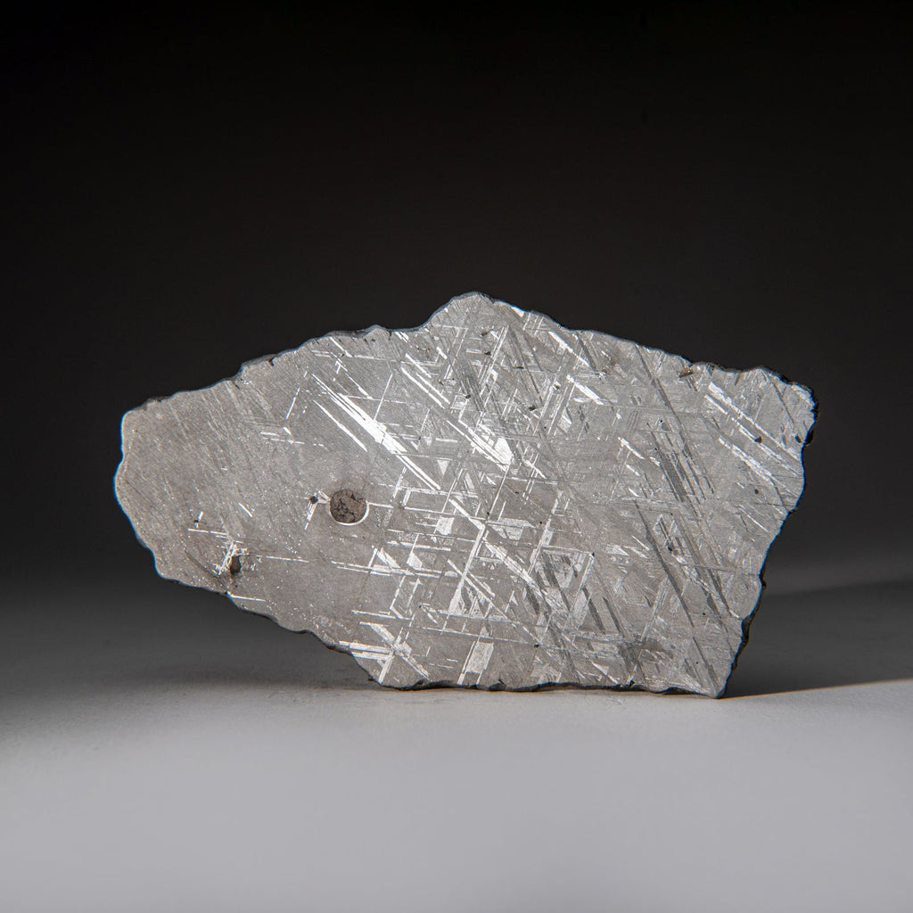 Genuine Muonionalusta Meteorite Slice (385 grams)
