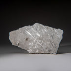 Genuine Muonionalusta Meteorite Slice (385 grams)
