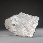 Genuine Muonionalusta Meteorite Slice (385 grams)