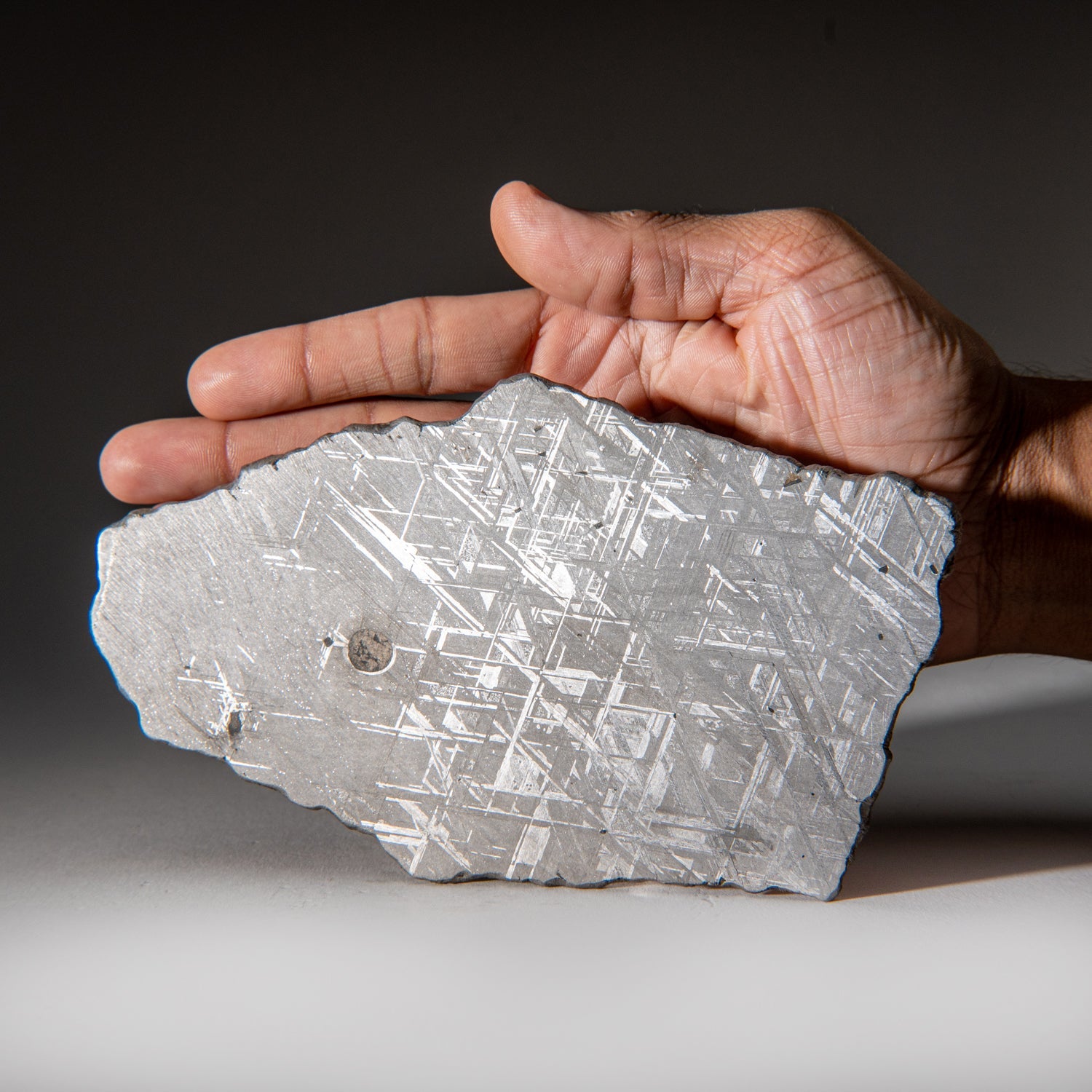 Genuine Muonionalusta Meteorite Slice (385 grams)