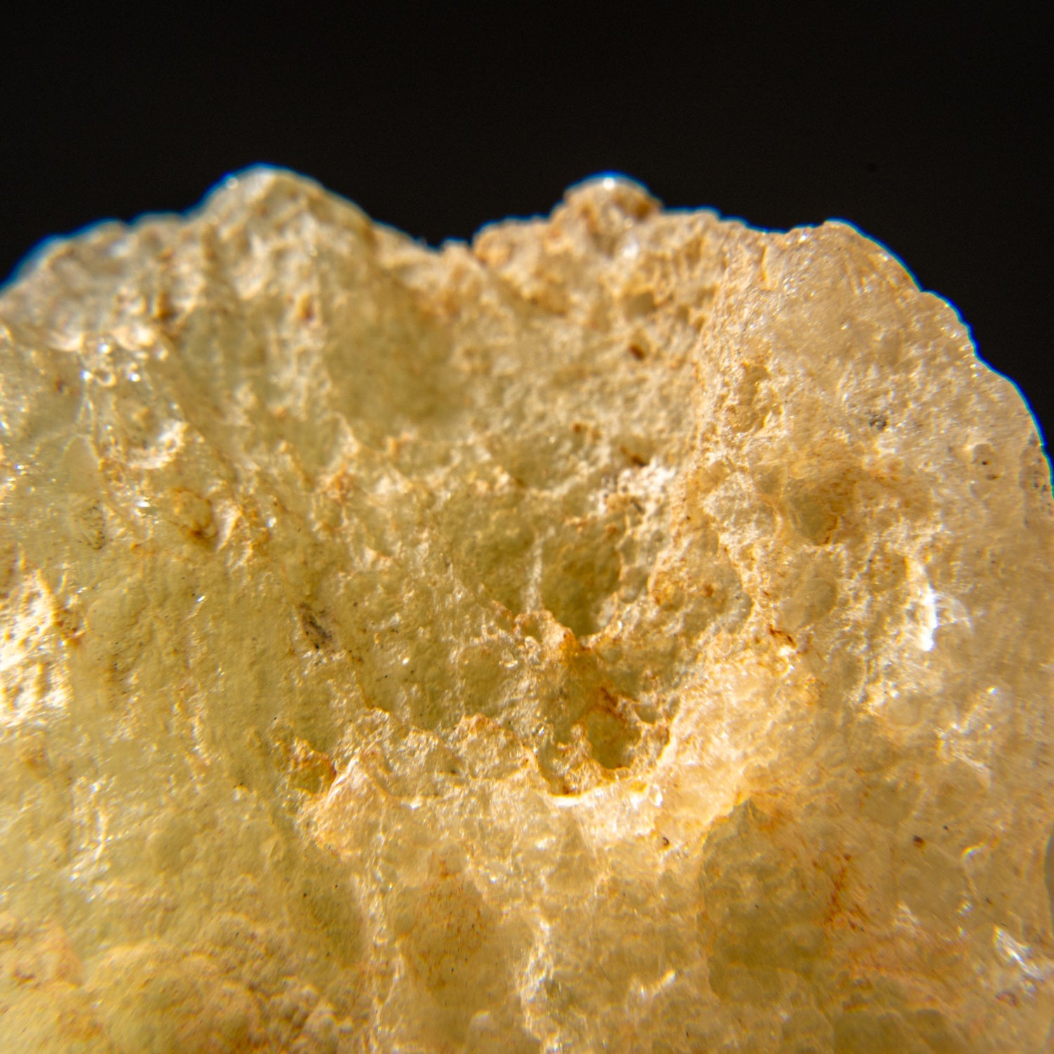Genuine Libyan Desert Glass (31 grams)