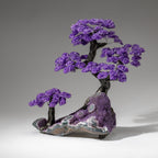 Custom Designed - Genuine Amethyst Clustered Gemstone Tree on Amethyst Matrix (The Protection Tree)