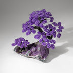 Custom Designed - Genuine Amethyst Clustered Gemstone Tree on Amethyst Matrix (The Protection Tree)