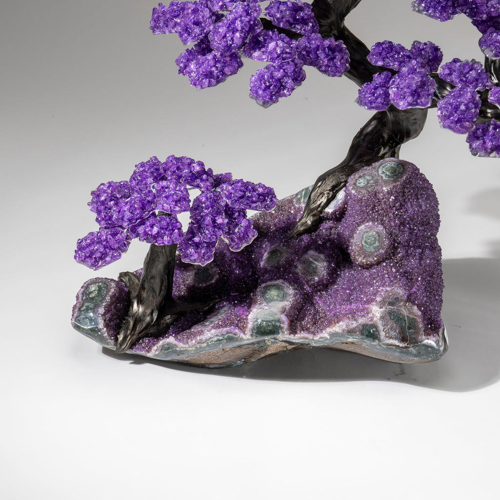 Custom Designed - Genuine Amethyst Clustered Gemstone Tree on Amethyst Matrix (The Protection Tree)