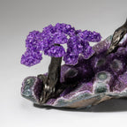 Custom Designed - Genuine Amethyst Clustered Gemstone Tree on Amethyst Matrix (The Protection Tree)