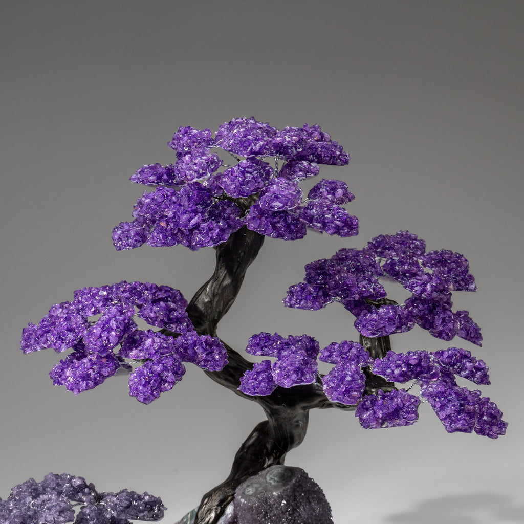 Custom Designed - Genuine Amethyst Clustered Gemstone Tree on Amethyst Matrix (The Protection Tree)