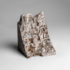 Genuine Muonionalusta Meteorite Slice (453.6 grams)