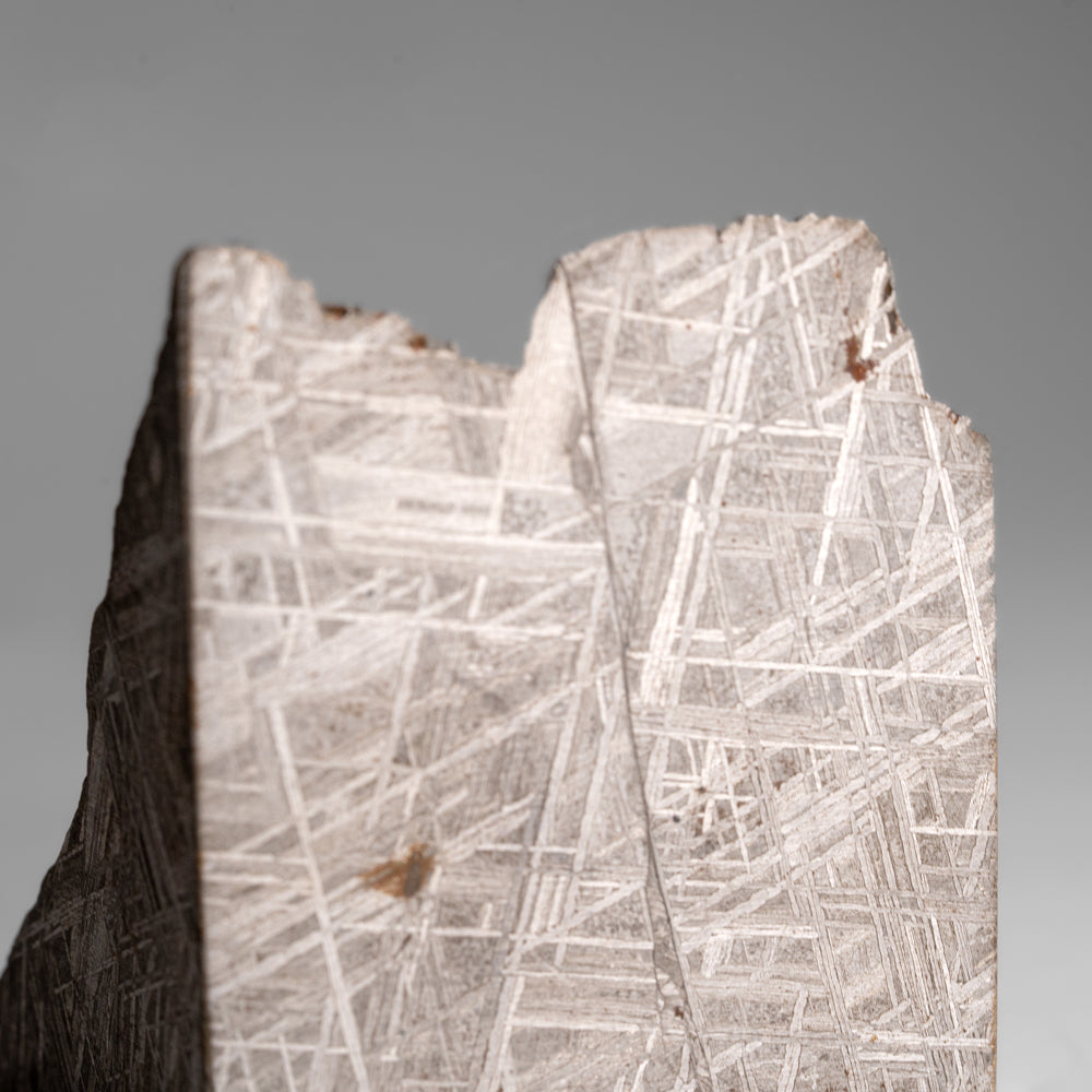 Genuine Muonionalusta Meteorite Slice (453.6 grams)