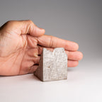 Genuine Muonionalusta Meteorite Slice (453.6 grams)