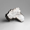 Genuine Muonionalusta Meteorite Slice (2.4 lbs)