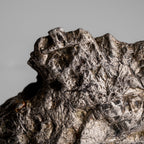 Genuine Muonionalusta Meteorite Slice (2.4 lbs)