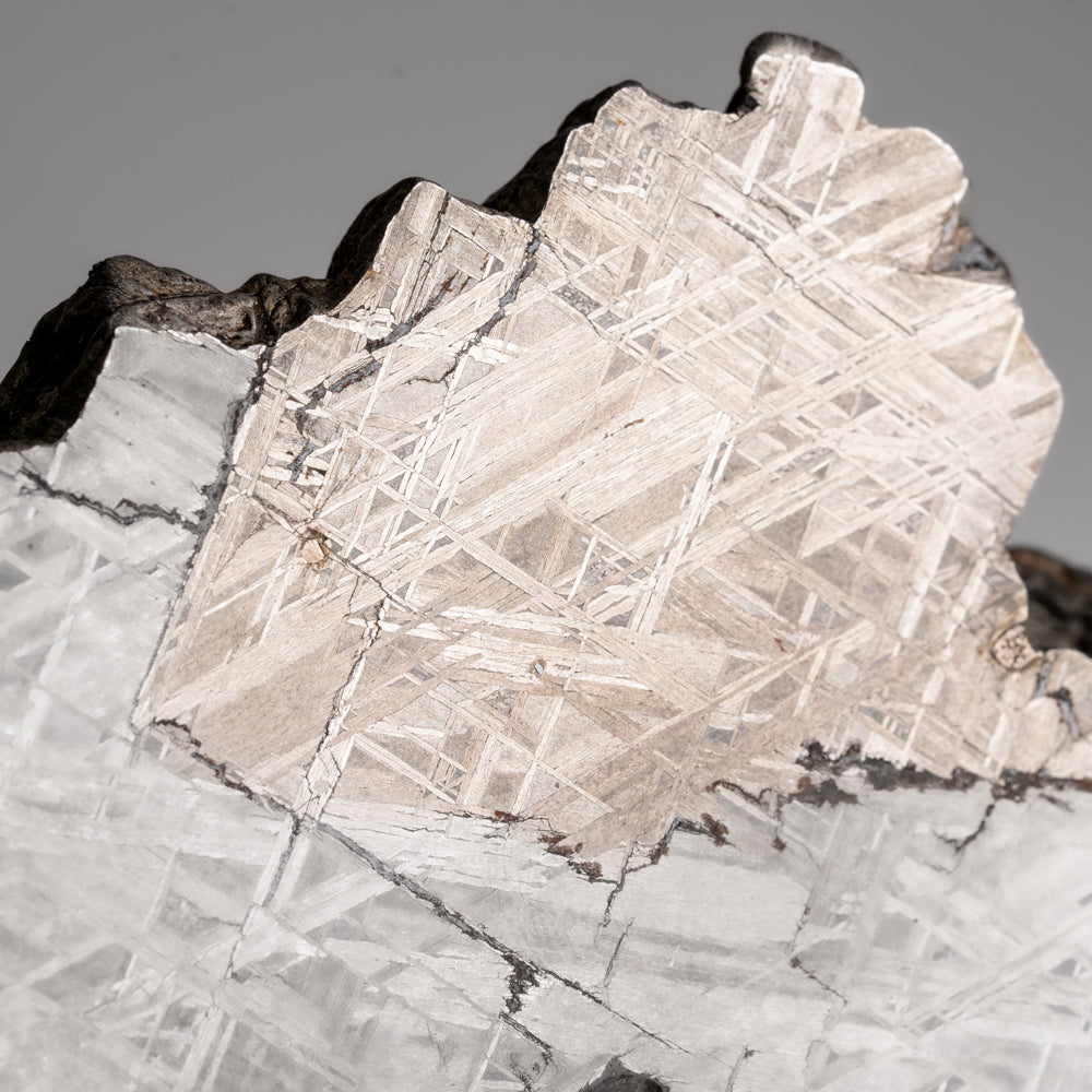 Genuine Muonionalusta Meteorite Slice (2.4 lbs)