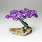 Genuine Amethyst Clustered Gemstone Tree on Citrine Matrix - The Empowerment Tree - (7 inches)