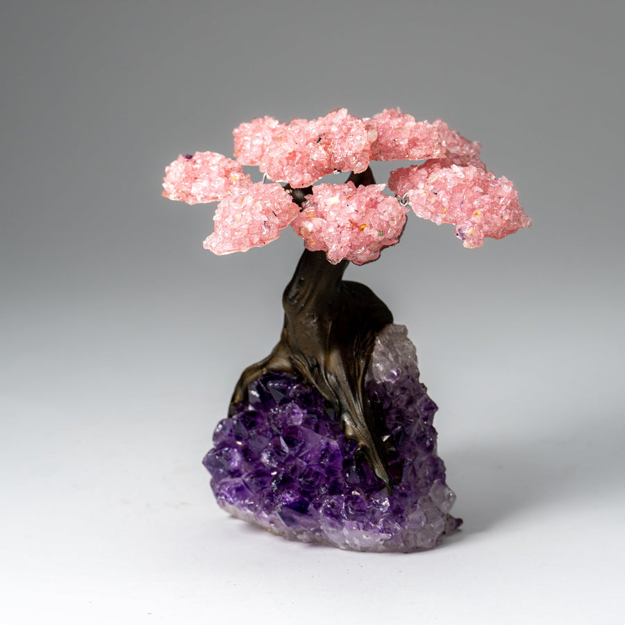Genuine Rose Quartz Clustered Gemstone Tree on Amethyst Matrix (5 inch)(The Love Tree)