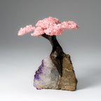 Genuine Rose Quartz Clustered Gemstone Tree on Amethyst Matrix (5 inch)(The Love Tree)