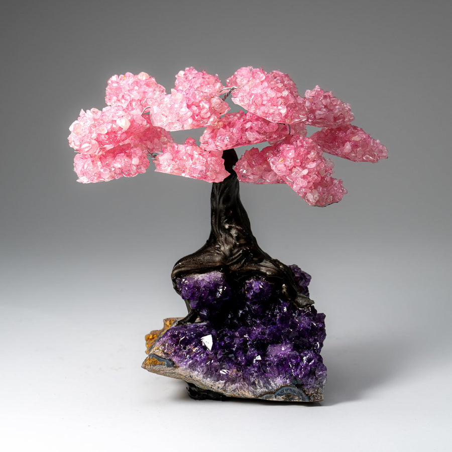 Genuine Rose Quartz Clustered Gemstone Tree on Amethyst Matrix (7 inch)(The Love Tree)
