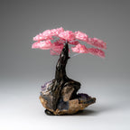 Genuine Rose Quartz Clustered Gemstone Tree on Amethyst Matrix (7 inch)(The Love Tree)
