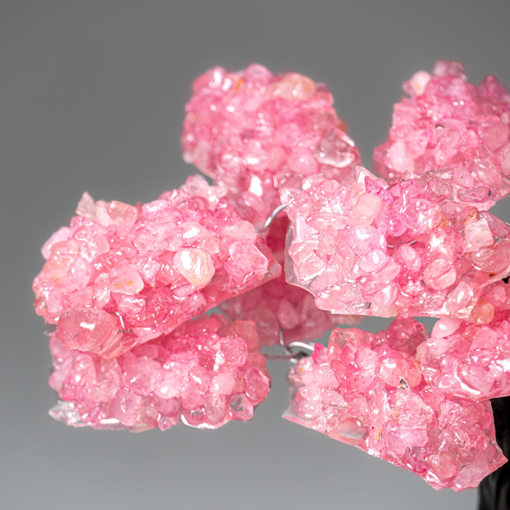 Genuine Rose Quartz Clustered Gemstone Tree on Amethyst Matrix (7 inch)(The Love Tree)