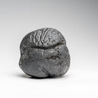 Genuine Museum Quality Indochinite Tektite (177 grams)