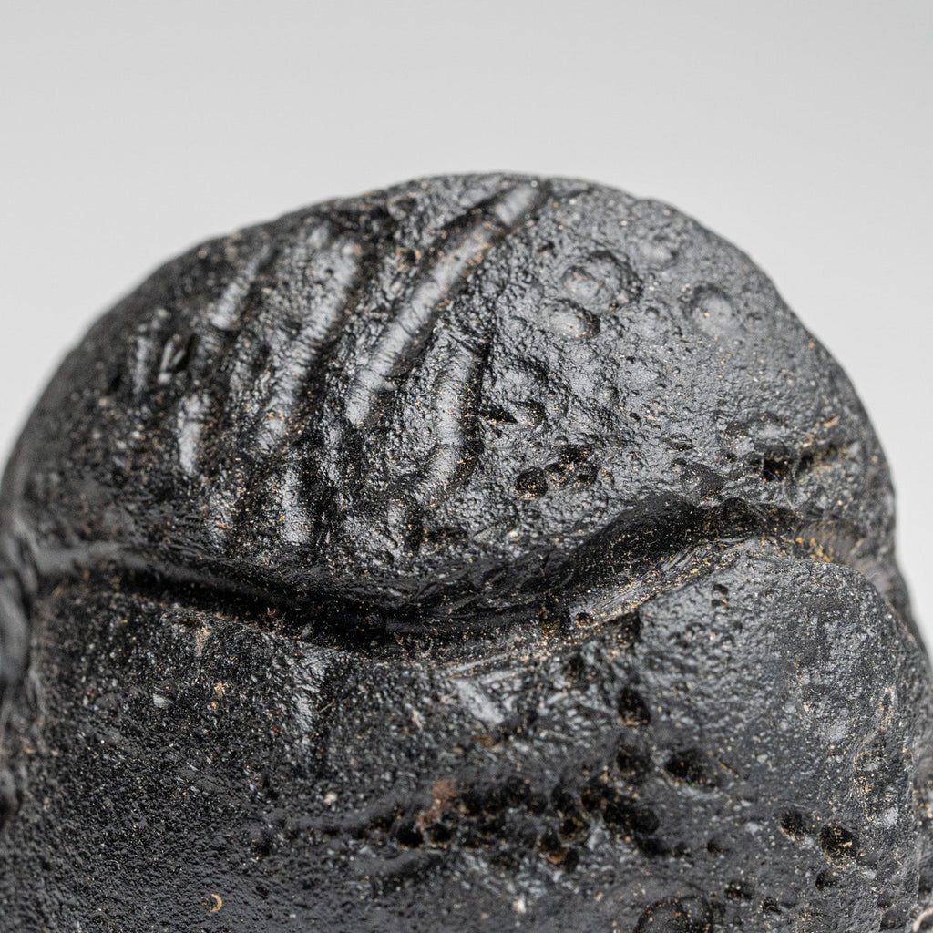 Genuine Museum Quality Indochinite Tektite (177 grams)