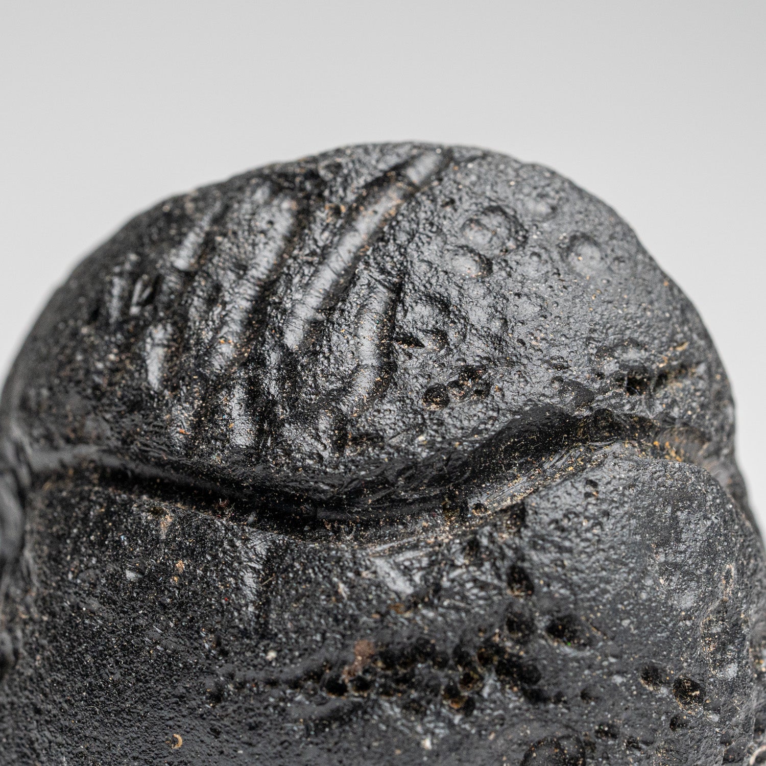 Genuine Museum Quality Indochinite Tektite (177 grams)