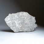 Genuine Muonionalusta Meteorite Slice (394 grams)