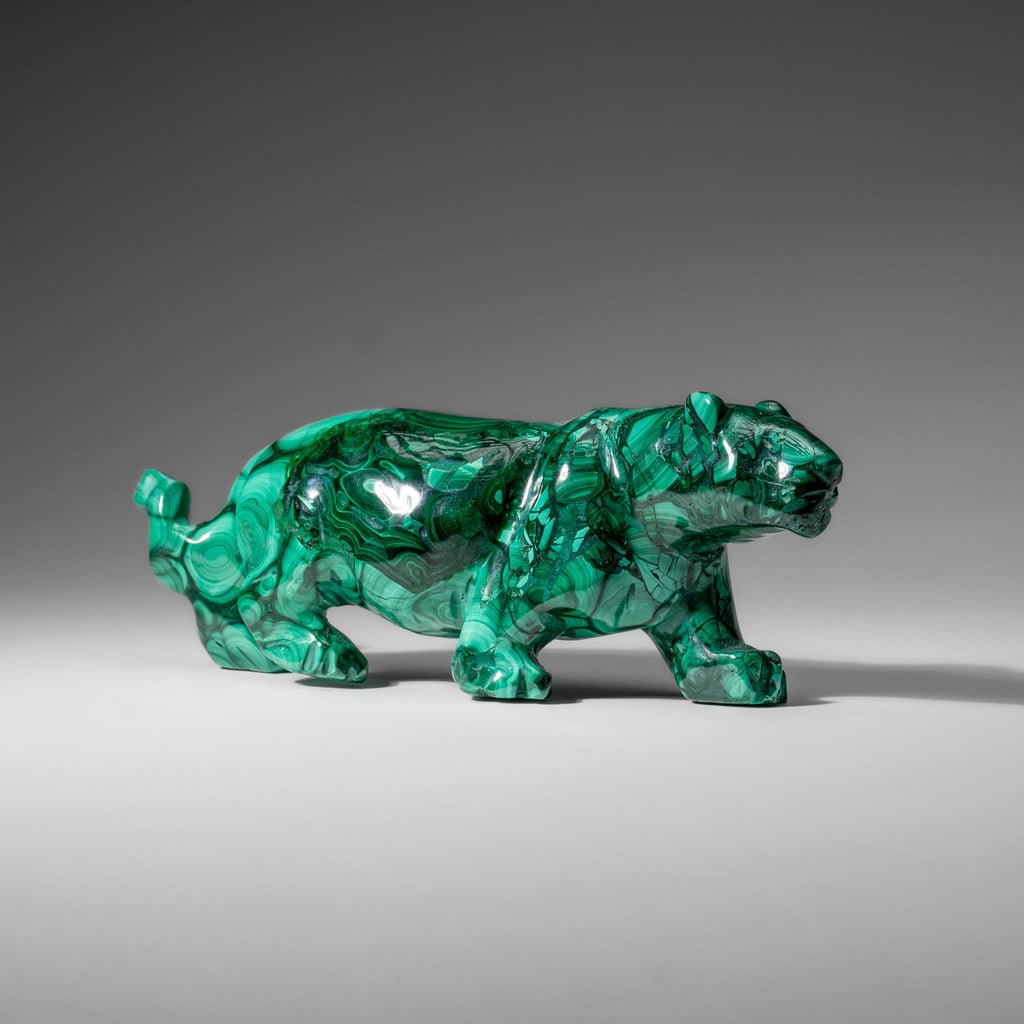 Genuine Polished Malachite Panther Carving (2.2 lbs)