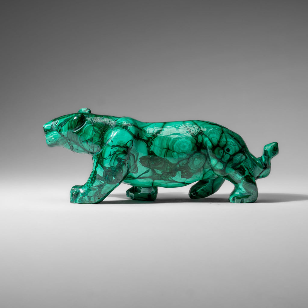Genuine Polished Malachite Panther Carving (2.2 lbs)