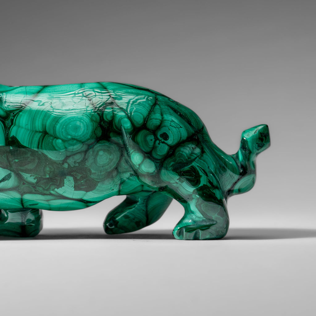Genuine Polished Malachite Panther Carving (2.2 lbs)