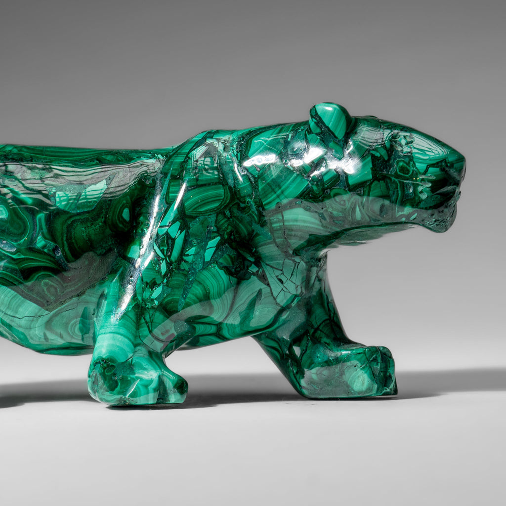 Genuine Polished Malachite Panther Carving (2.2 lbs)