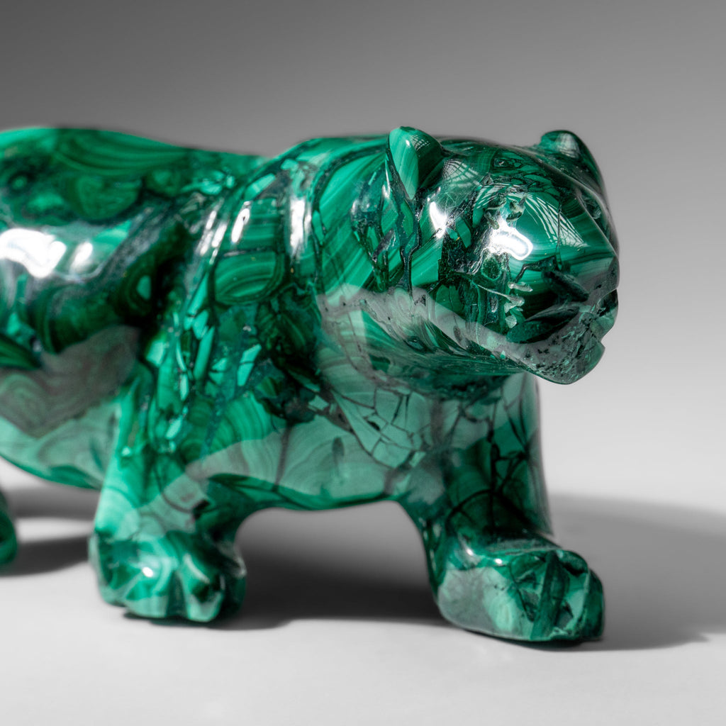 Genuine Polished Malachite Panther Carving (2.2 lbs)