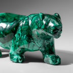 Genuine Polished Malachite Panther Carving (2.2 lbs)