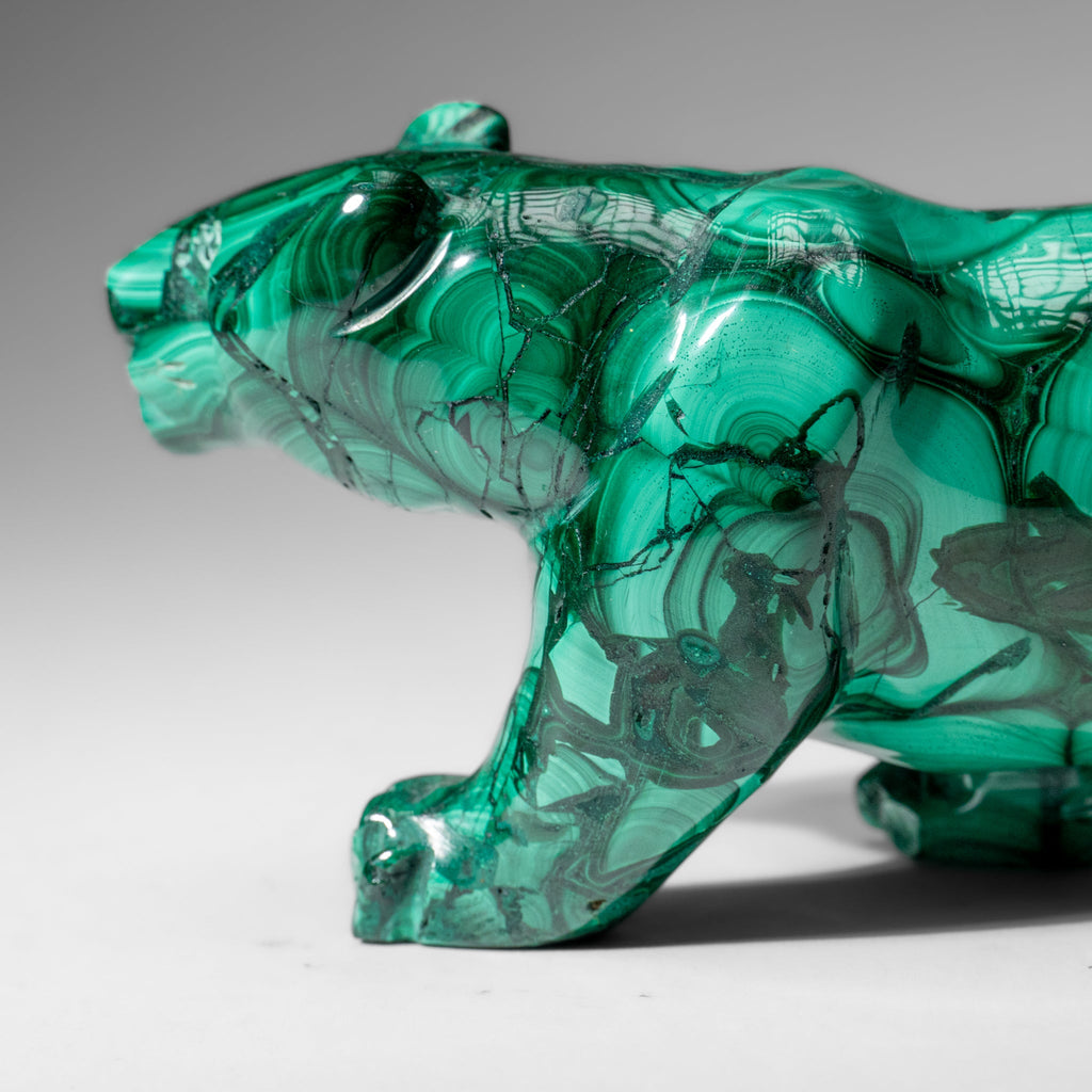 Genuine Polished Malachite Panther Carving (2.2 lbs)