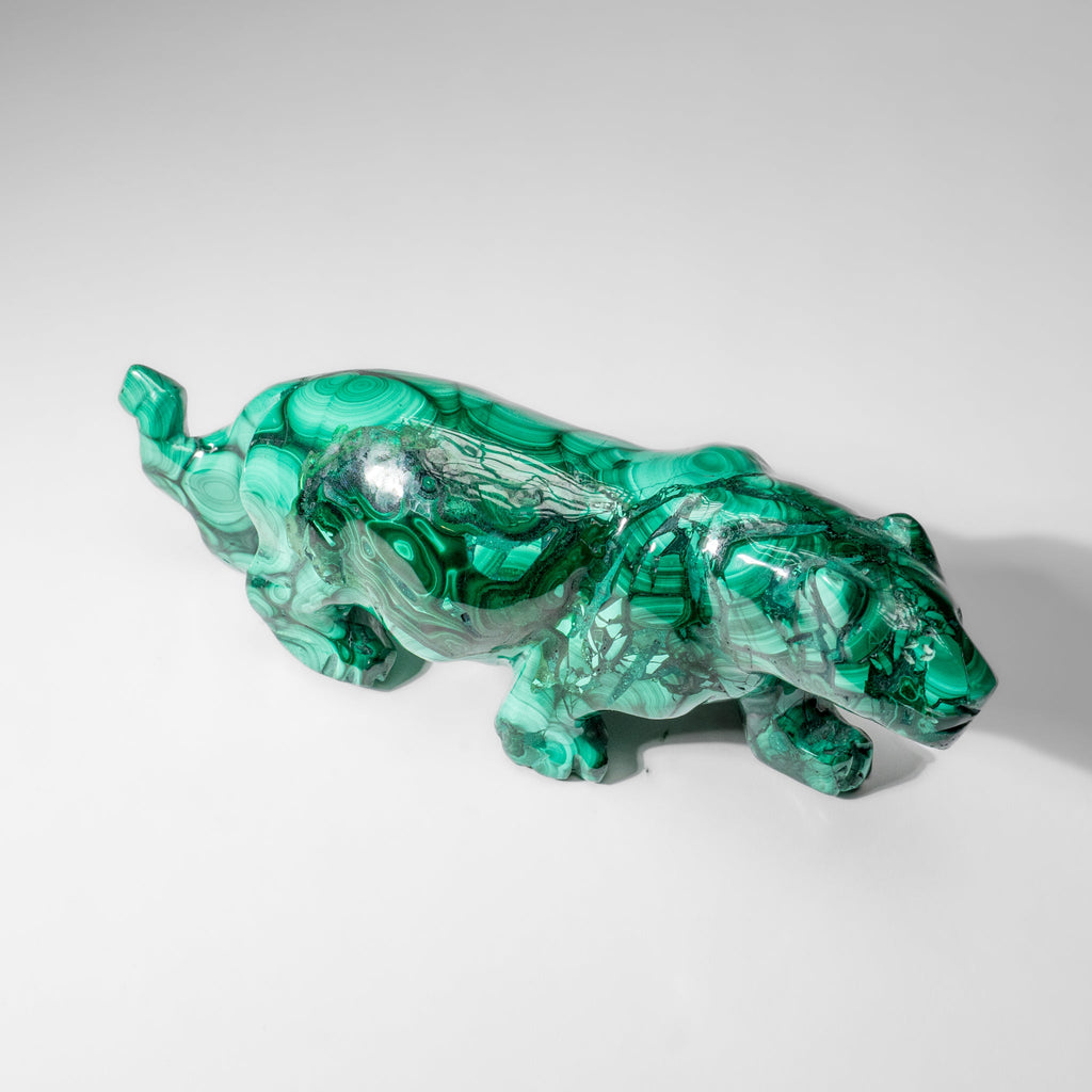 Genuine Polished Malachite Panther Carving (2.2 lbs)