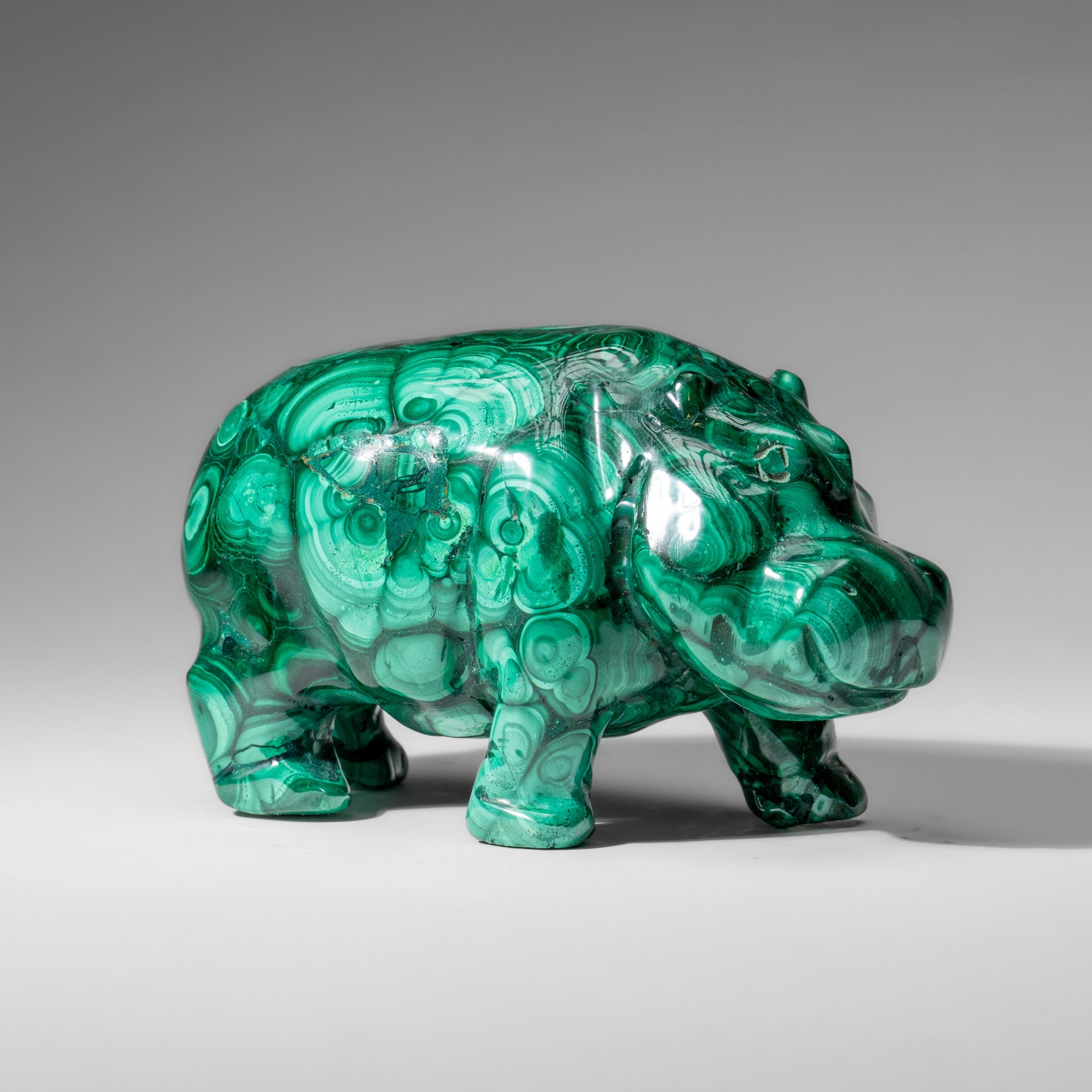 Genuine Polished Malachite Hippo Carving (2.9 lbs)