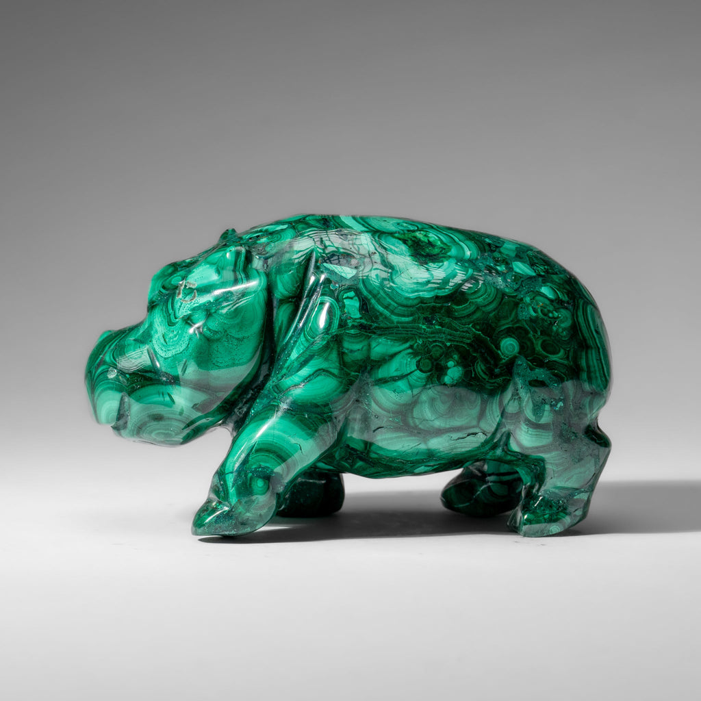 Genuine Polished Malachite Hippo Carving (2.9 lbs)