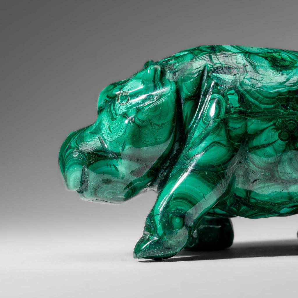 Genuine Polished Malachite Hippo Carving (2.9 lbs)