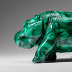 Genuine Polished Malachite Hippo Carving (2.9 lbs)