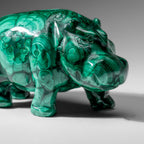 Genuine Polished Malachite Hippo Carving (2.9 lbs)
